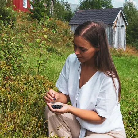 Ground Floor Exclusive With Sauna - Near Geiranger And The Norwegian Fjords *